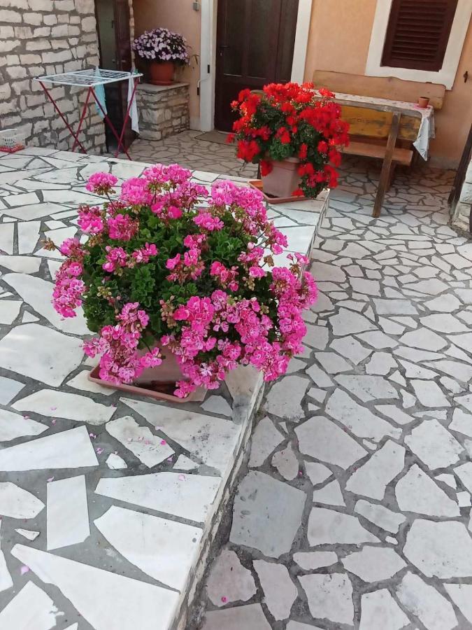 Apartmani Jurman Matohanci Esterno foto